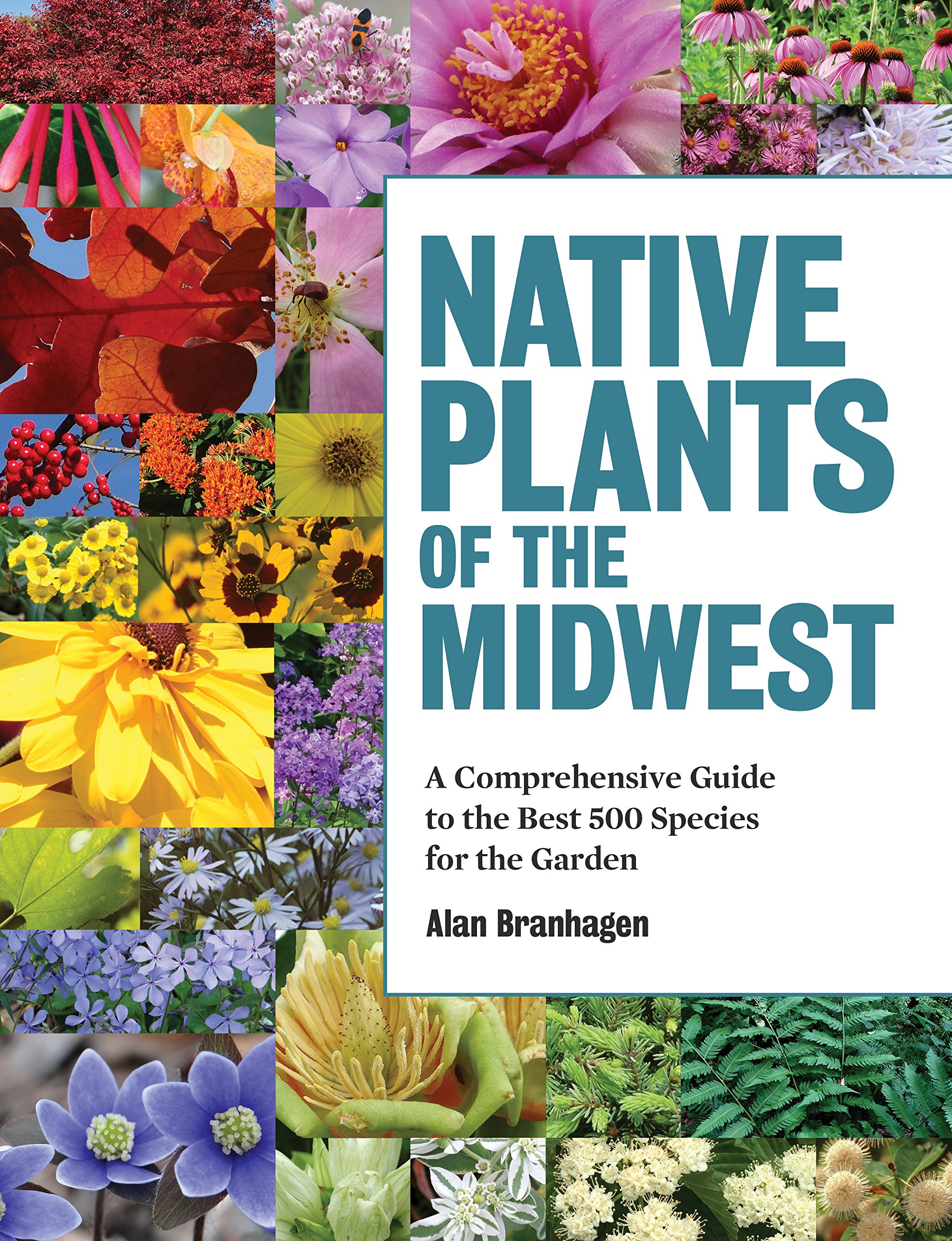 Algopix Similar Product 13 - Native Plants of the Midwest A