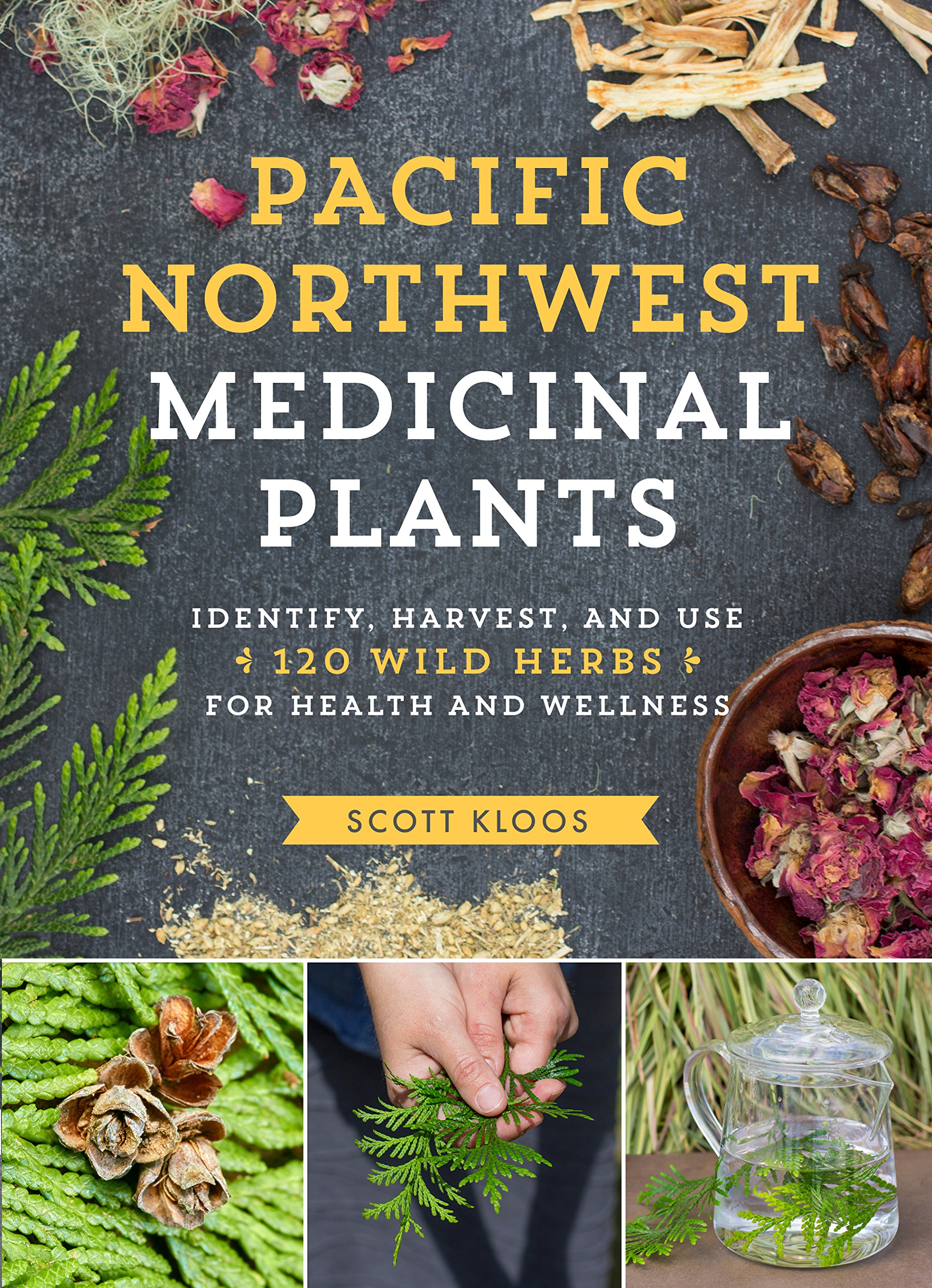 Algopix Similar Product 4 - Pacific Northwest Medicinal Plants
