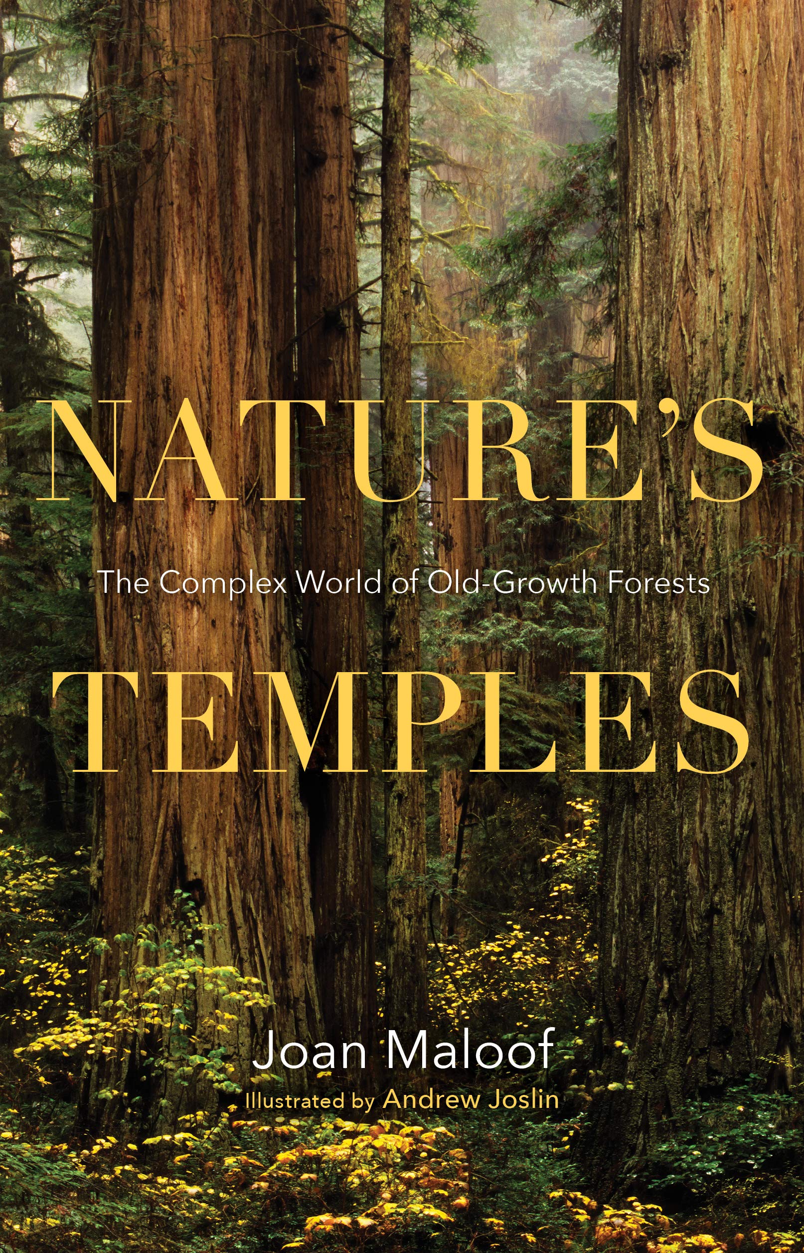 Algopix Similar Product 5 - Natures Temples The Complex World of