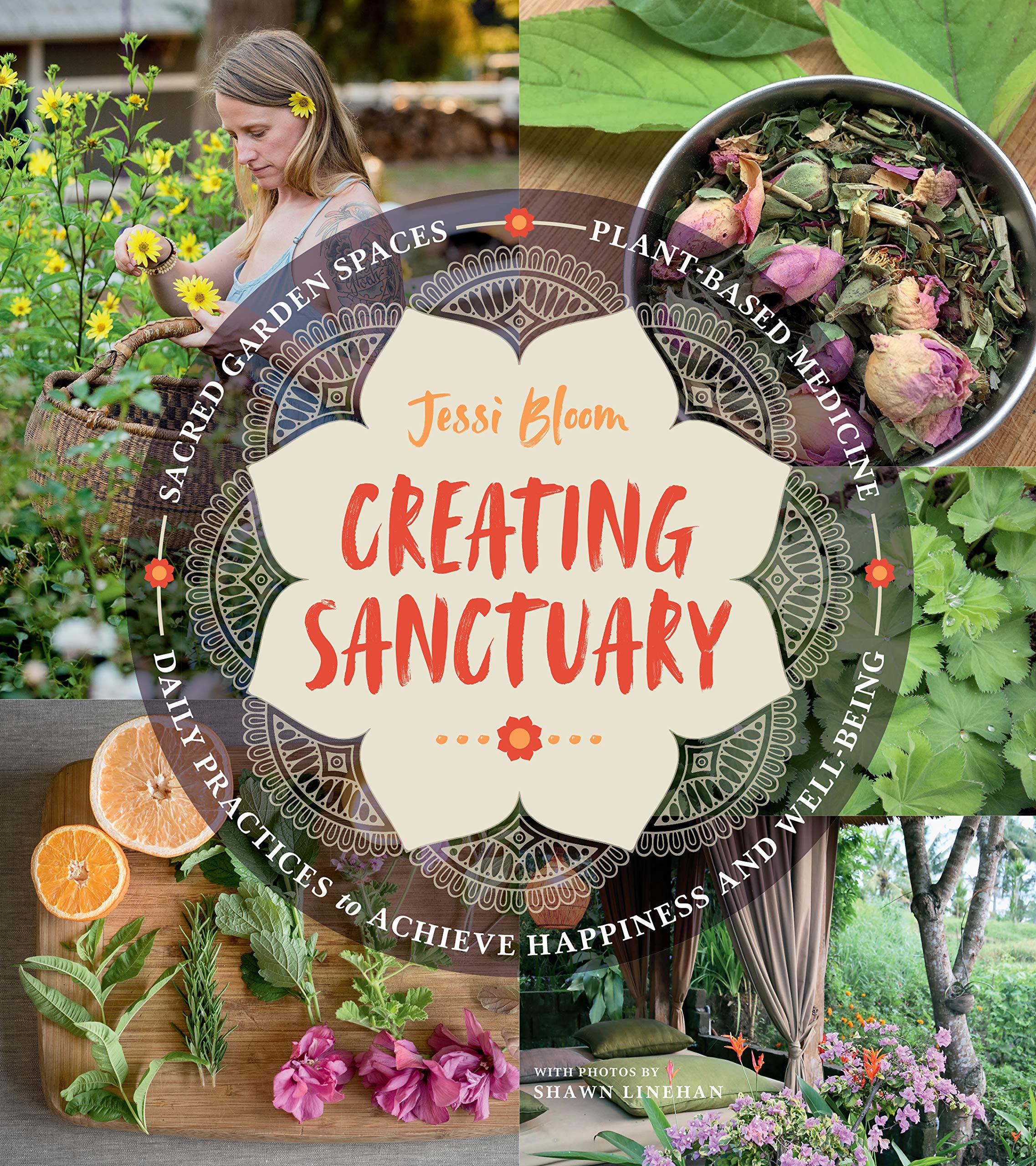 Algopix Similar Product 4 - Creating Sanctuary Sacred Garden