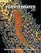 Algopix Similar Product 12 - Invertebrates