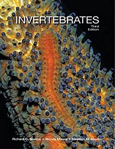 Algopix Similar Product 3 - Invertebrates