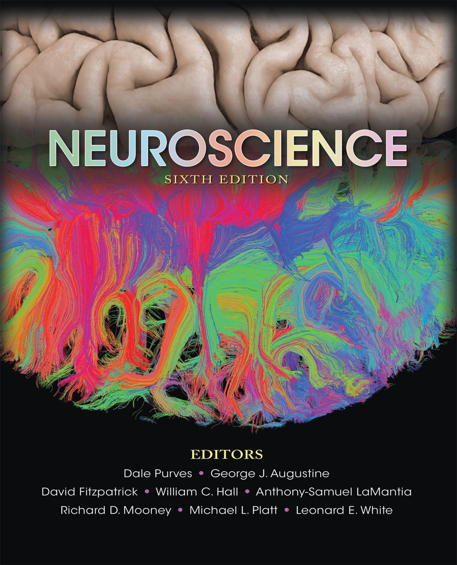 Algopix Similar Product 4 - Neuroscience