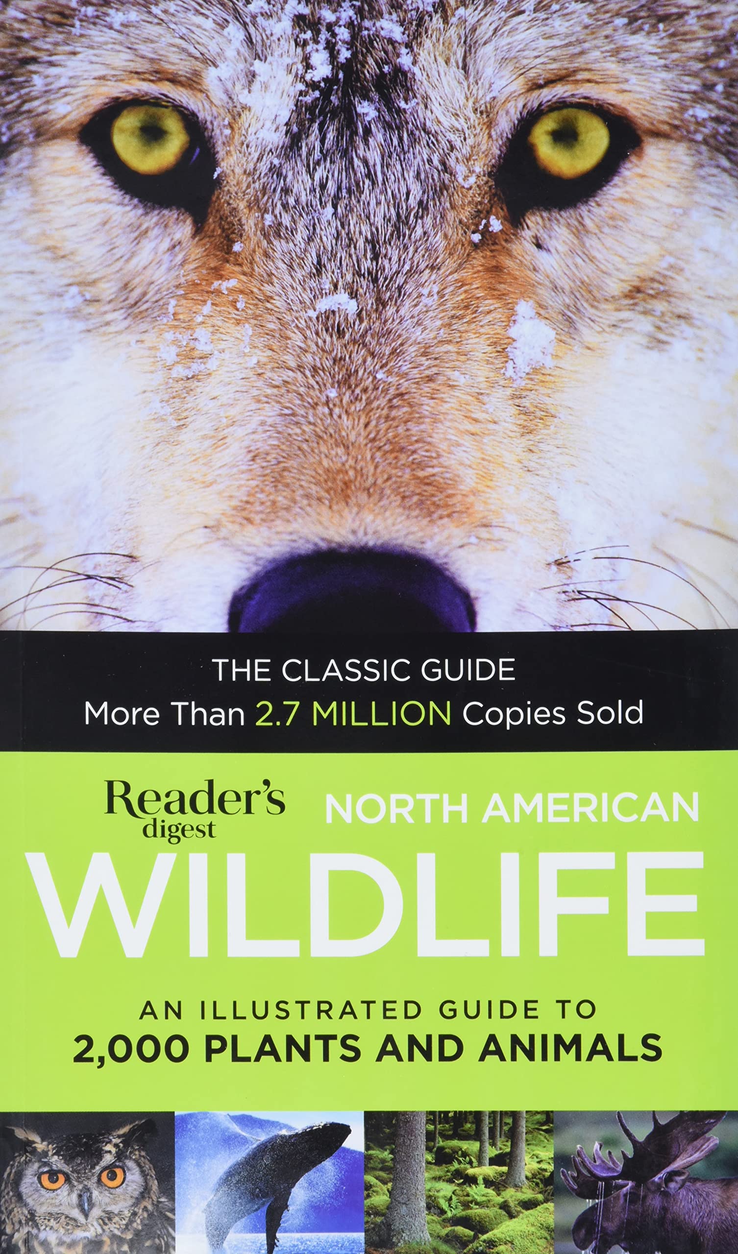 Algopix Similar Product 1 - North American Wildlife An Illustrated