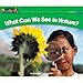 Algopix Similar Product 8 - What Can We See in Nature Rising