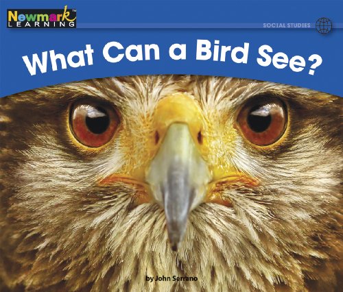 Algopix Similar Product 1 - What Can a Bird See Rising Readers