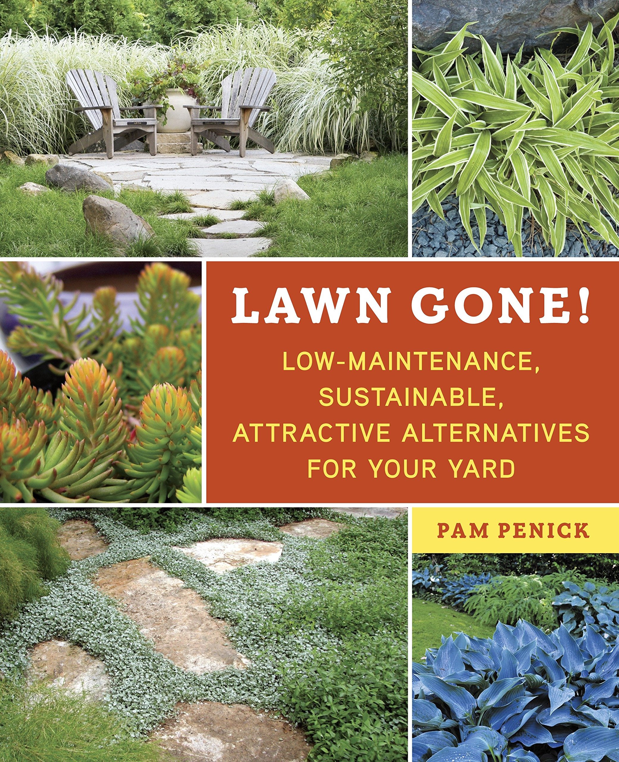 Algopix Similar Product 10 - Lawn Gone LowMaintenance