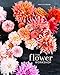 Algopix Similar Product 8 - The Flower Workshop Lessons in