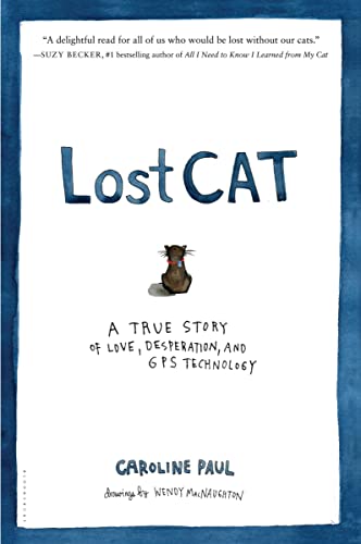 Algopix Similar Product 15 - Lost Cat A True Story of Love