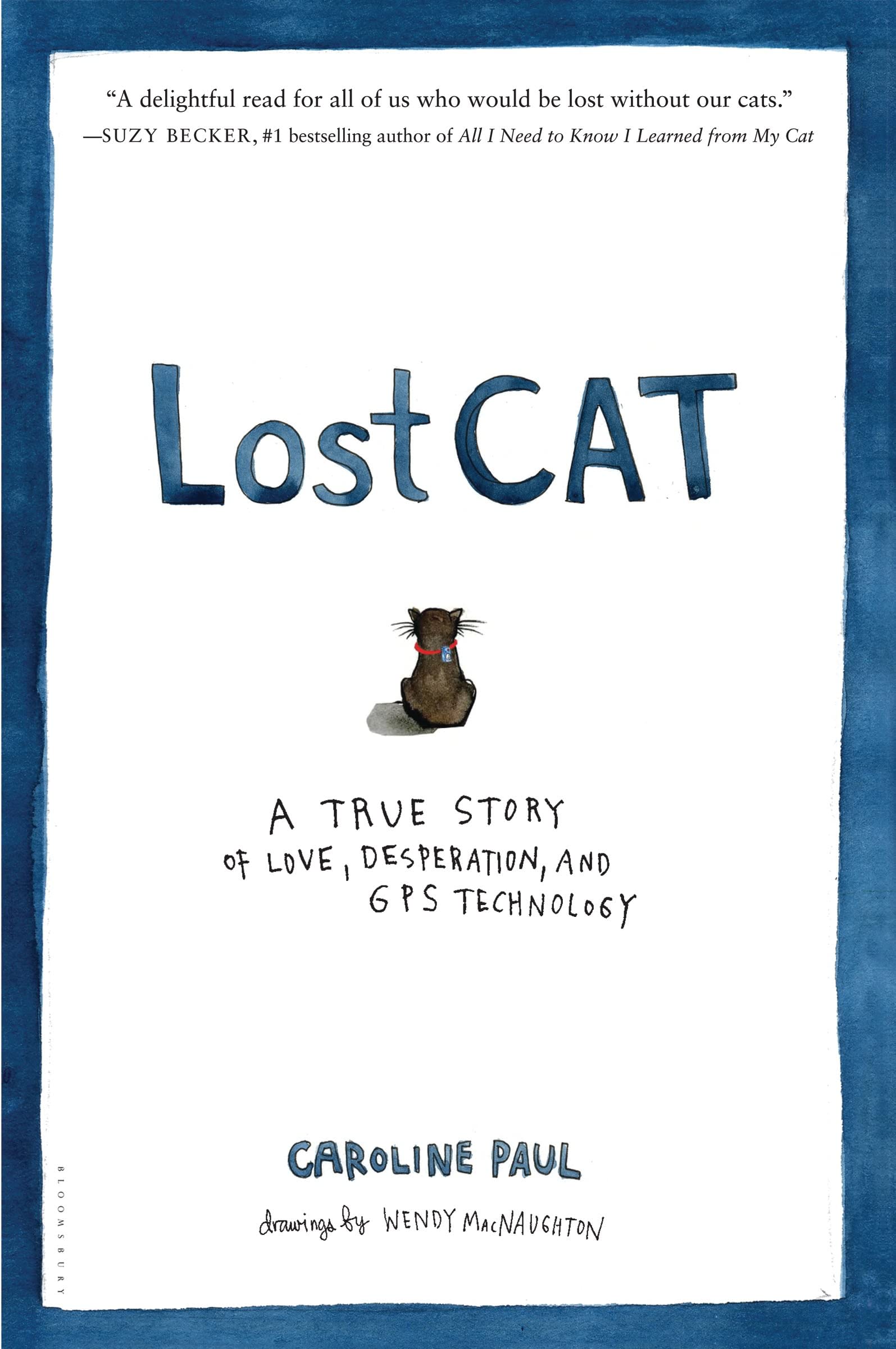 Algopix Similar Product 14 - Lost Cat A True Story of Love