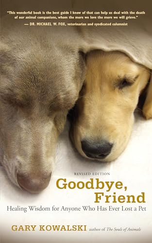 Algopix Similar Product 1 - Goodbye Friend Healing Wisdom for