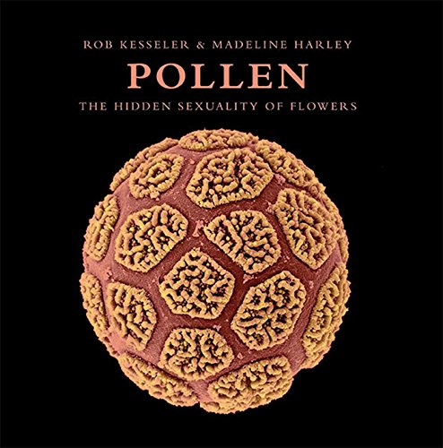 Algopix Similar Product 18 - Pollen: The Hidden Sexuality of Flowers