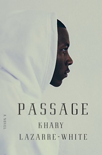 Algopix Similar Product 18 - Passage: A Novel