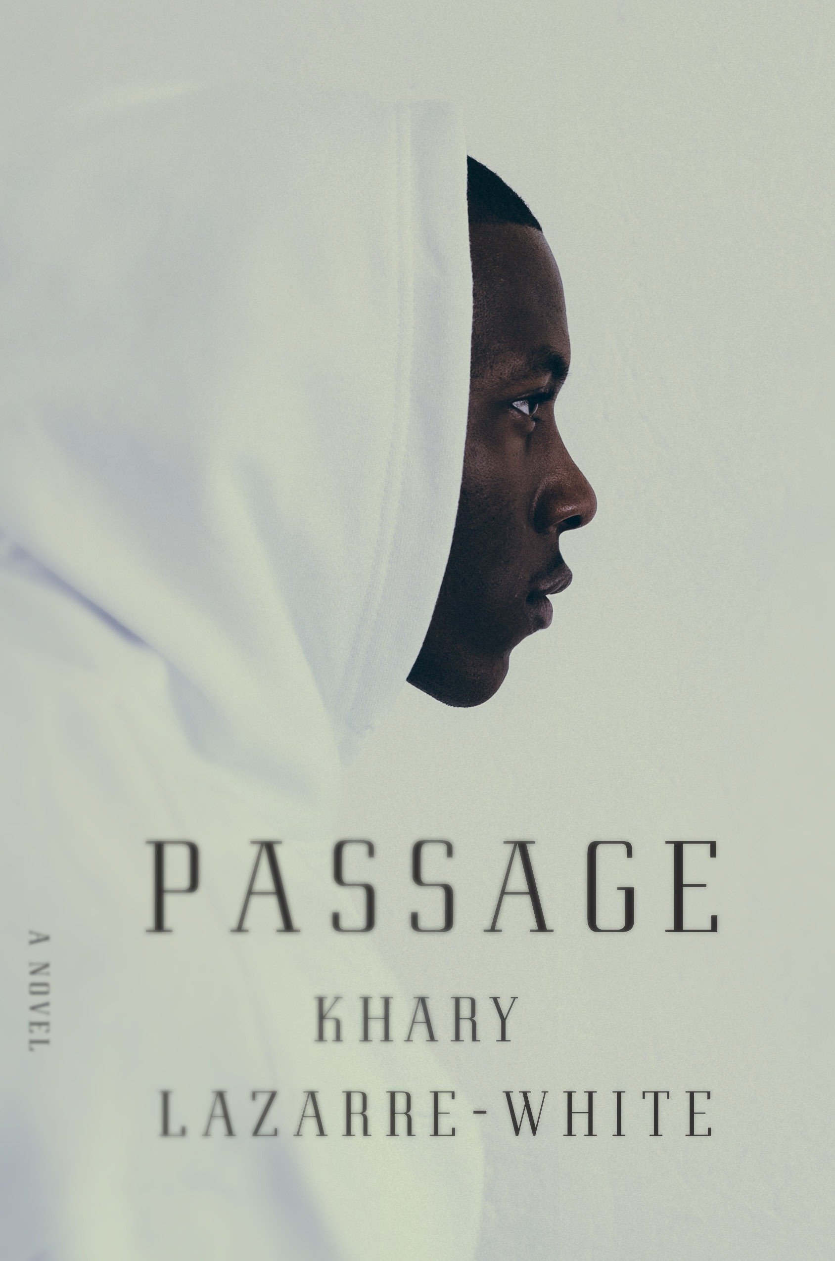Algopix Similar Product 2 - Passage: A Novel