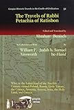 Algopix Similar Product 11 - The Travels of Rabbi Petachia of