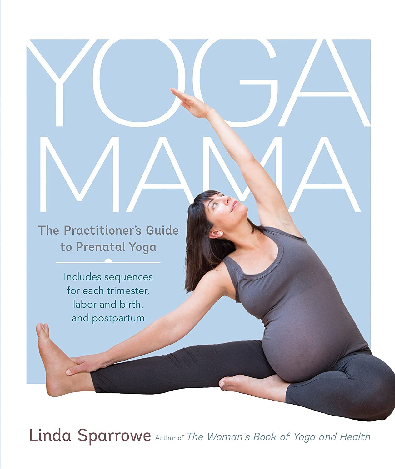 Algopix Similar Product 18 - Yoga Mama The Practitioners Guide to