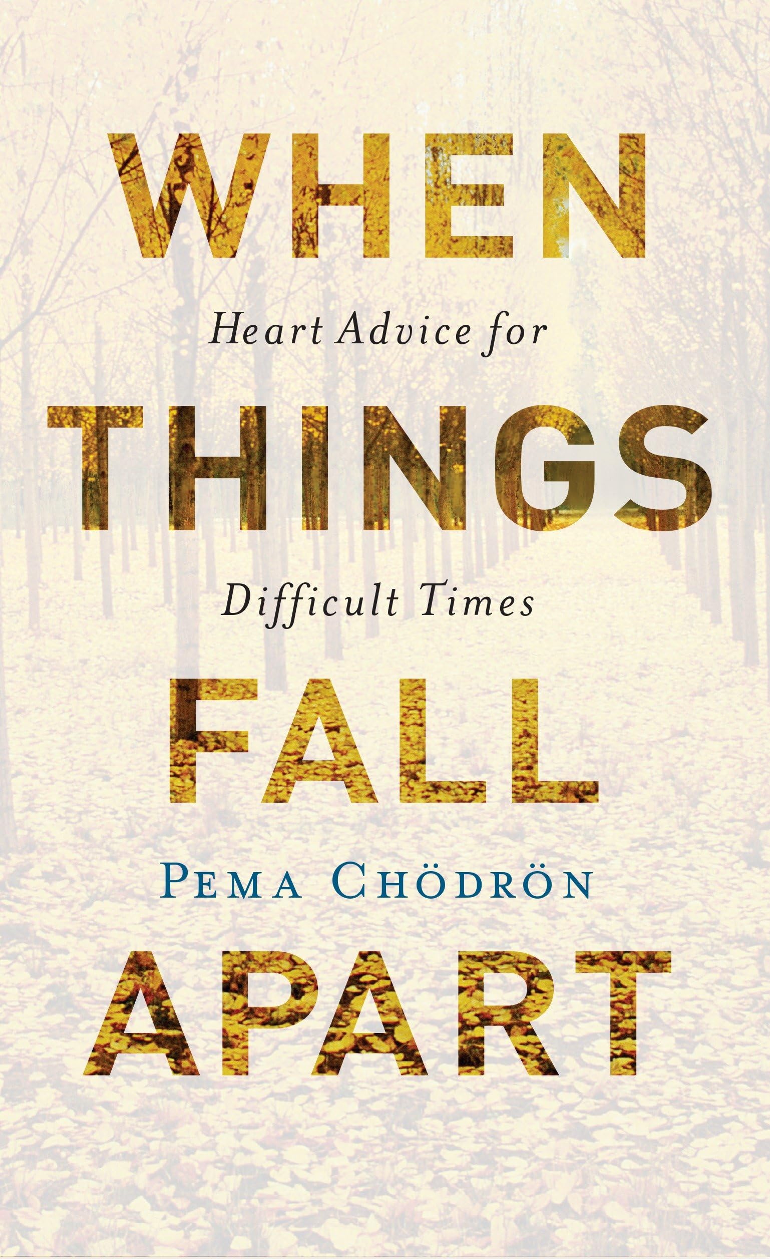 Algopix Similar Product 8 - When Things Fall Apart Heart Advice