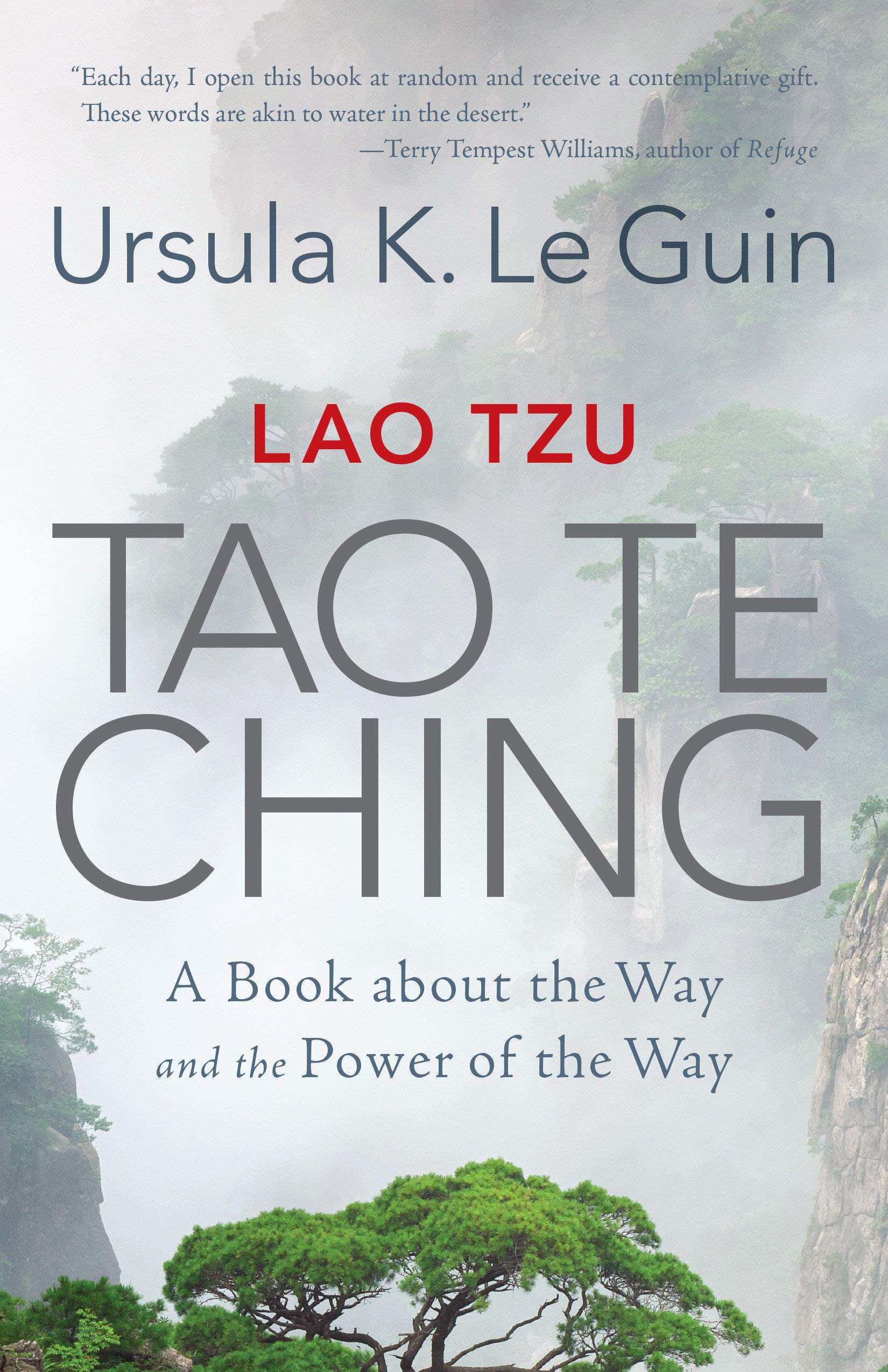 Algopix Similar Product 5 - Lao Tzu Tao Te Ching A Book about the