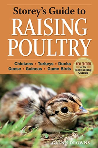 Algopix Similar Product 15 - Storeys Guide to Raising Poultry 4th