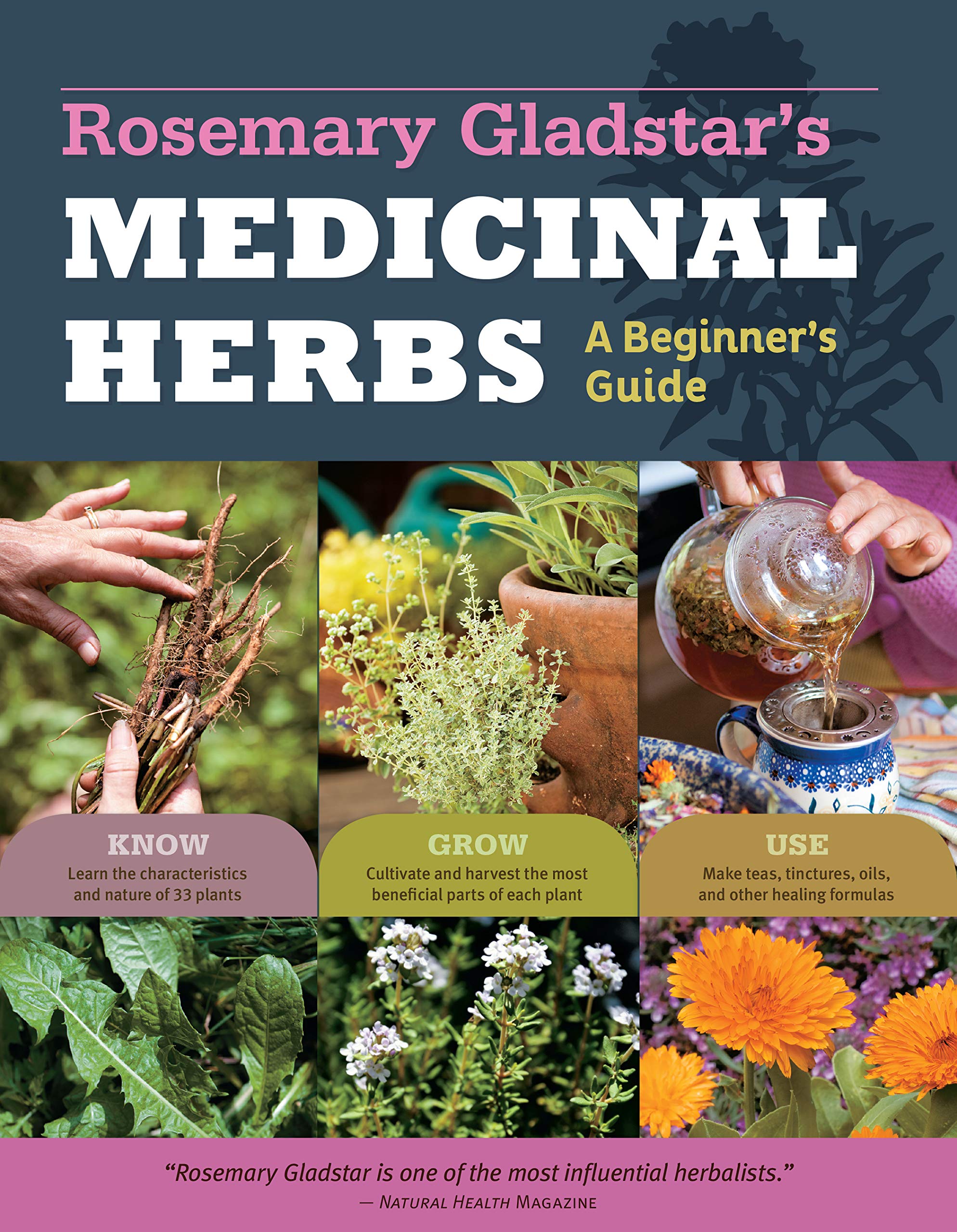 Algopix Similar Product 13 - Rosemary Gladstars Medicinal Herbs A