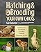 Algopix Similar Product 10 - Hatching  Brooding Your Own Chicks