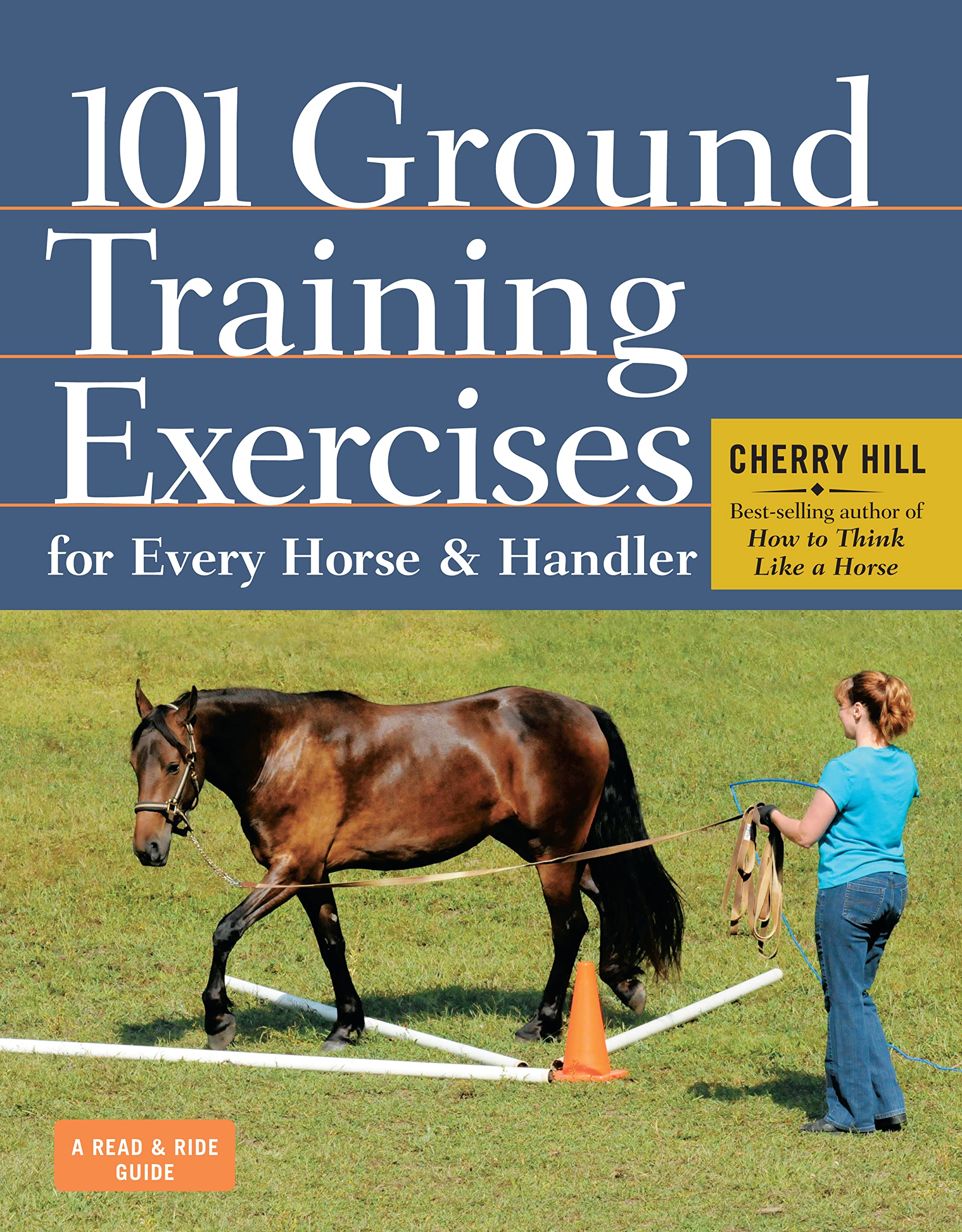 Algopix Similar Product 18 - 101 Ground Training Exercises for Every