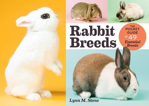 Algopix Similar Product 6 - Rabbit Breeds The Pocket Guide to 49