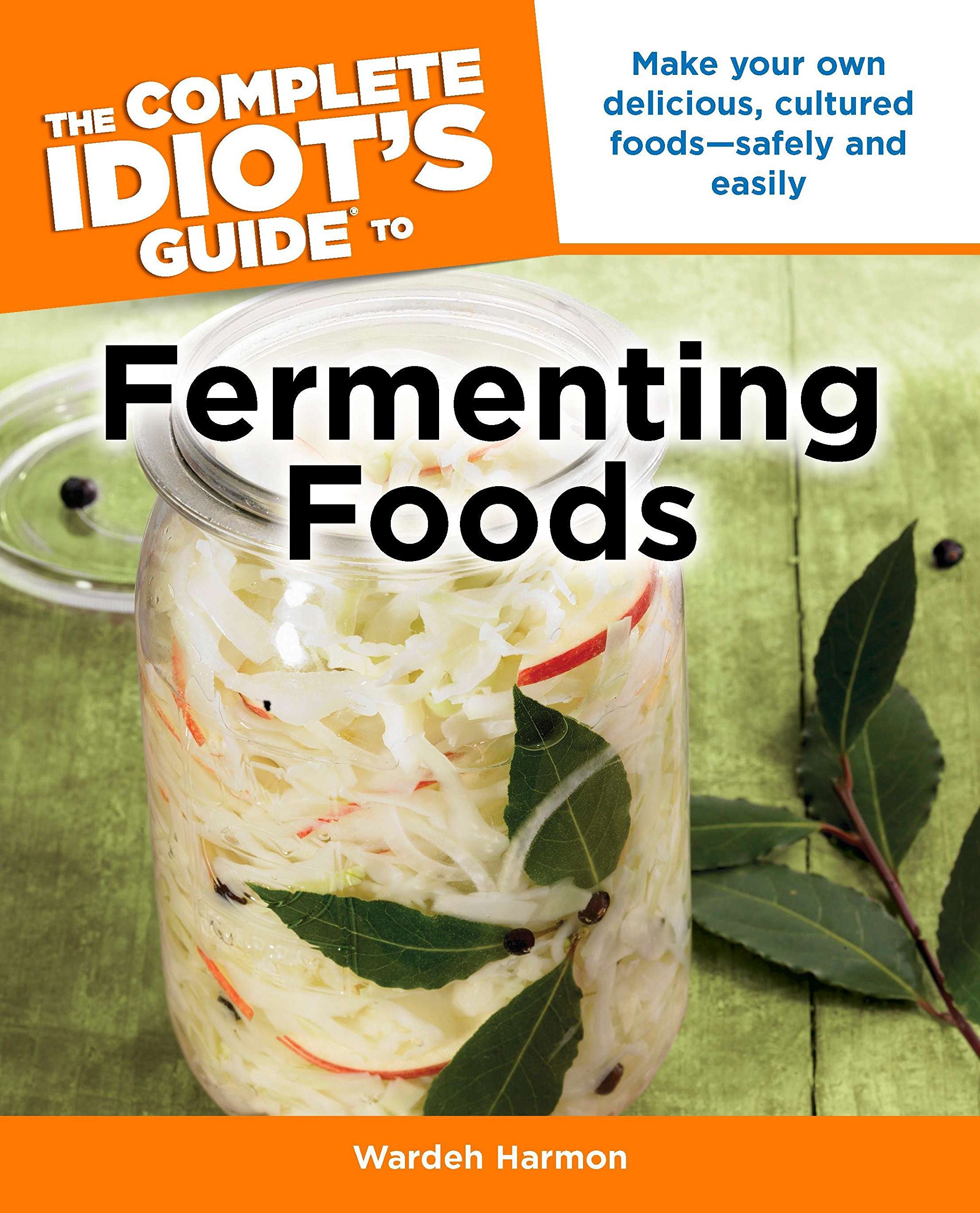 Algopix Similar Product 6 - The Complete Idiots Guide to