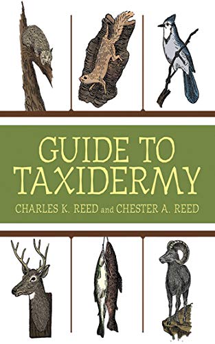 Algopix Similar Product 7 - Guide to Taxidermy