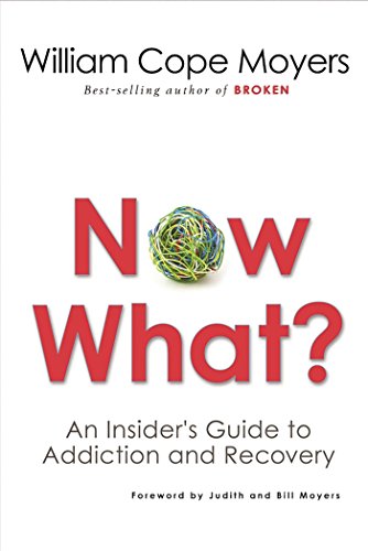 Algopix Similar Product 4 - Now What An Insiders Guide to