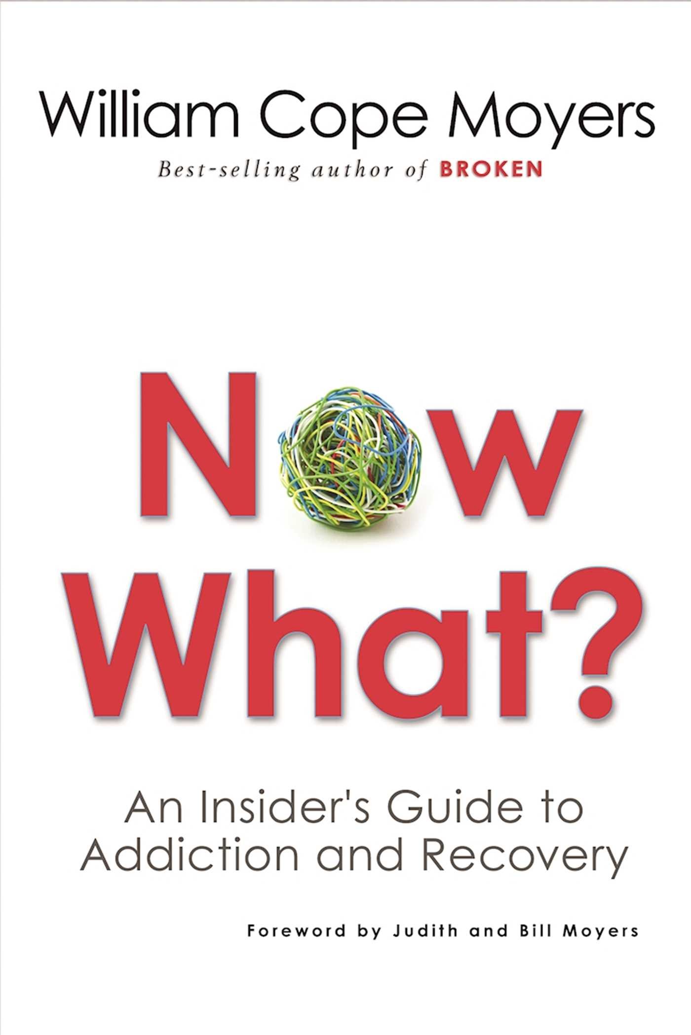 Algopix Similar Product 17 - Now What An Insiders Guide to