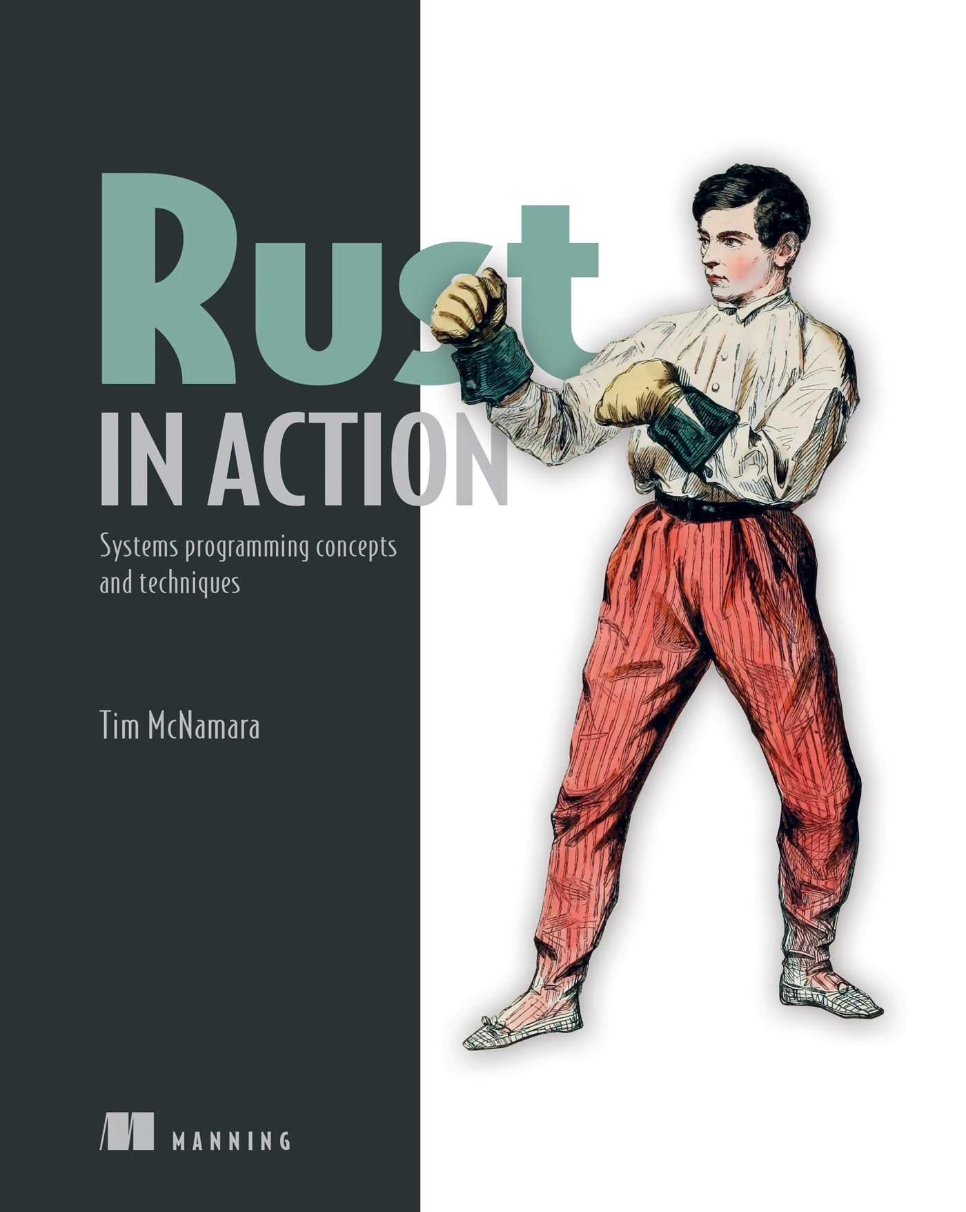 Algopix Similar Product 5 - Rust in Action