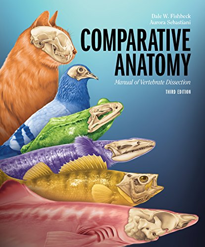 Algopix Similar Product 19 - Comparative Anatomy Manual of