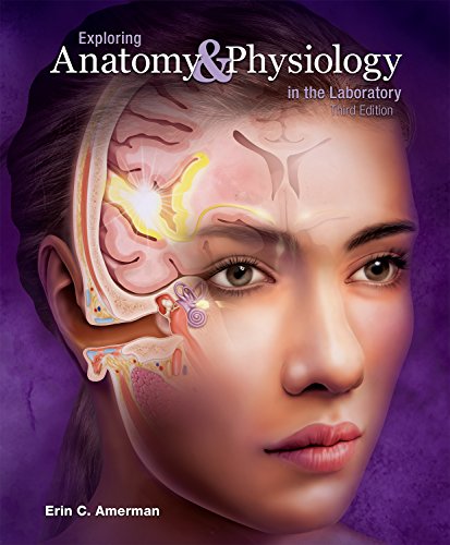 Algopix Similar Product 20 - Exploring Anatomy  Physiology in the
