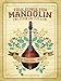 Algopix Similar Product 13 - Folk Songs for Mandolin Sing Strum