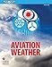 Algopix Similar Product 16 - Aviation Weather 2023 FAA Advisory