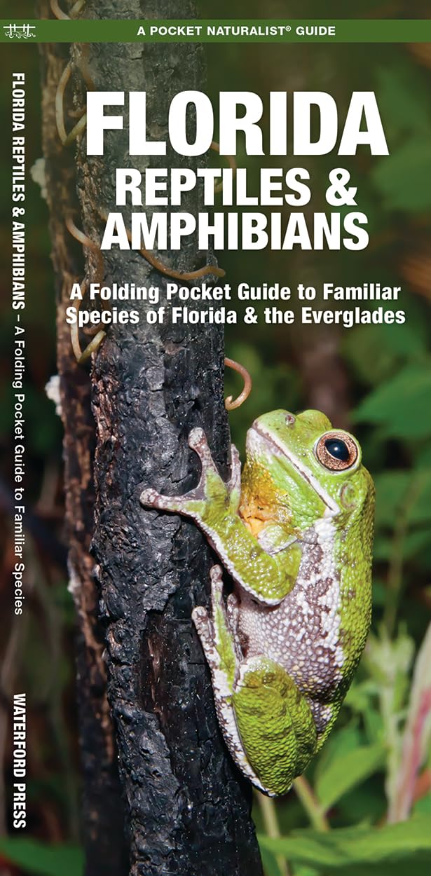 Algopix Similar Product 12 - Florida Reptiles  Amphibians A