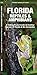 Algopix Similar Product 7 - Florida Reptiles  Amphibians A