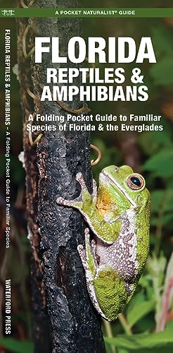 Algopix Similar Product 3 - Florida Reptiles  Amphibians A