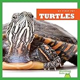 Algopix Similar Product 3 - Turtles (Bullfrog Books: My First Pet)