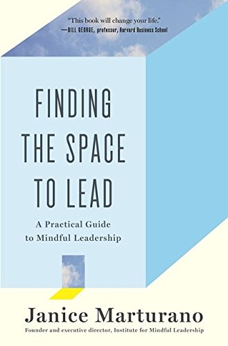 Algopix Similar Product 20 - Finding the Space to Lead A Practical