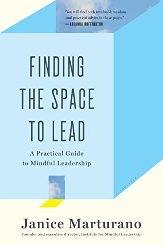 Algopix Similar Product 13 - Finding the Space to Lead A Practical