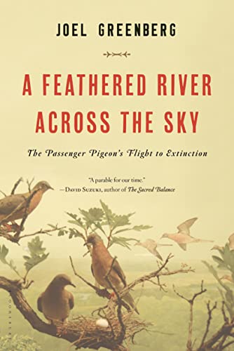 Algopix Similar Product 6 - A Feathered River Across the Sky The