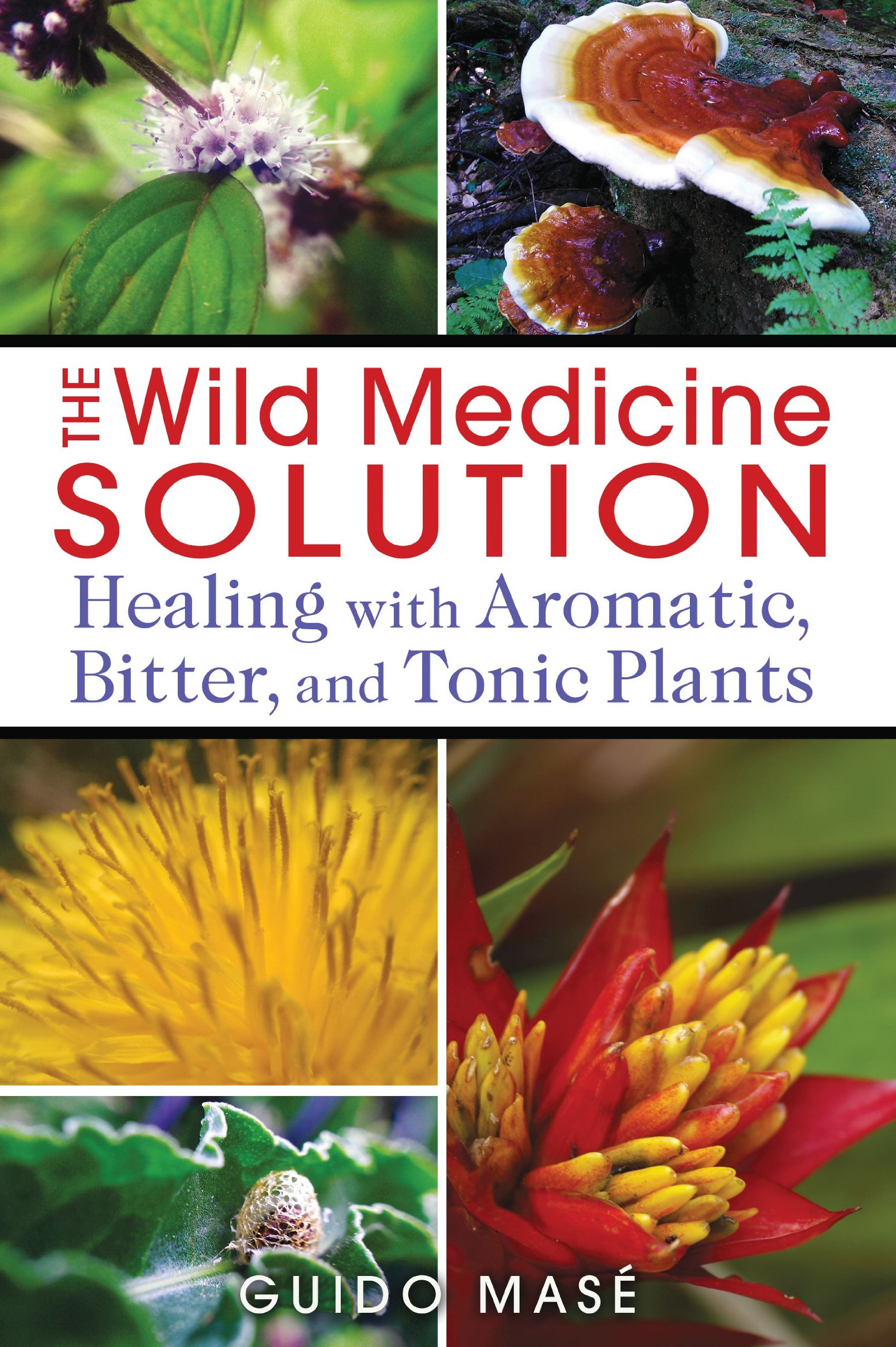 Algopix Similar Product 15 - The Wild Medicine Solution Healing