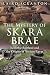 Algopix Similar Product 16 - The Mystery of Skara Brae Neolithic