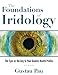Algopix Similar Product 5 - The Foundations of Iridology The Eyes