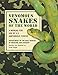 Algopix Similar Product 5 - Venomous Snakes of the World A Manual