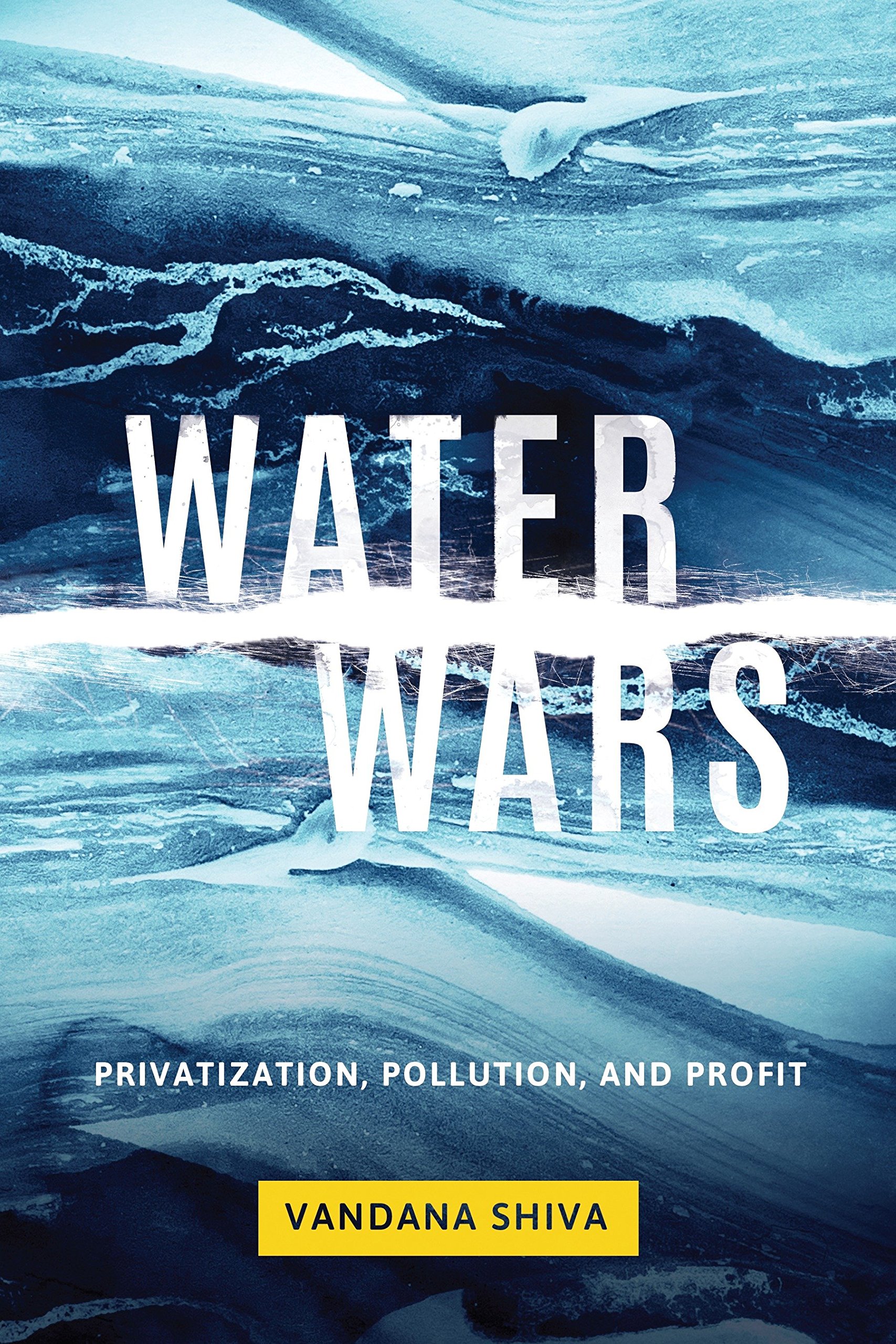 Algopix Similar Product 11 - Water Wars Privatization Pollution