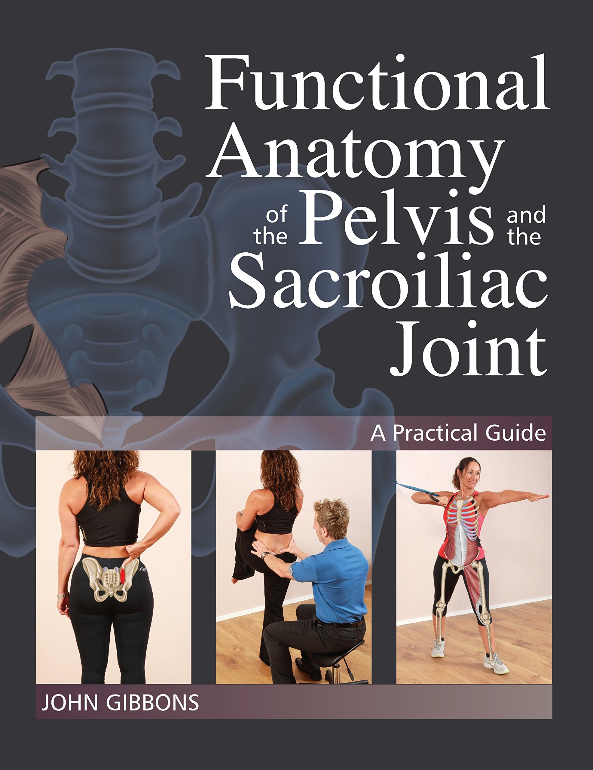 Algopix Similar Product 7 - Functional Anatomy of the Pelvis and