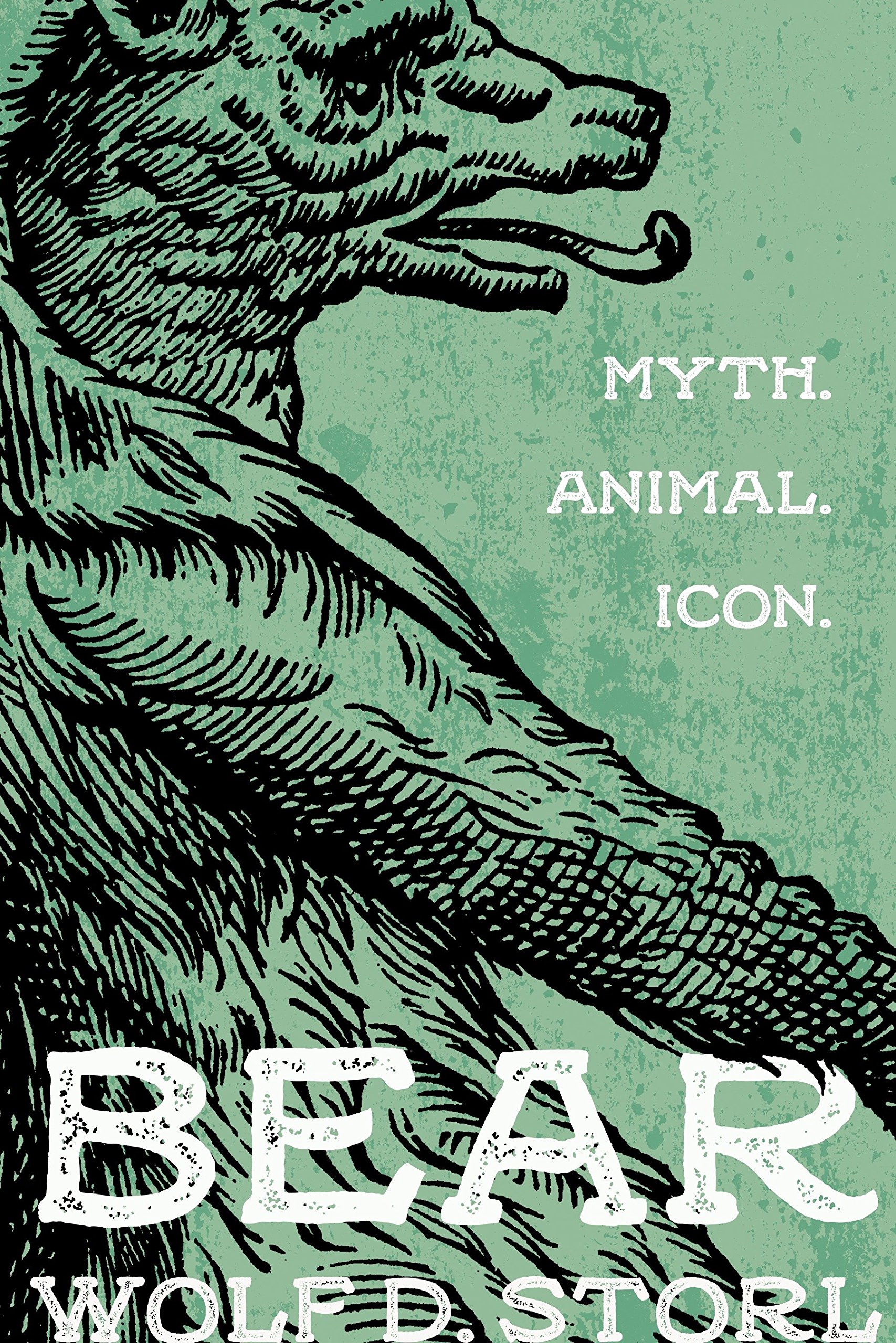 Algopix Similar Product 11 - Bear: Myth, Animal, Icon